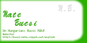 mate bucsi business card